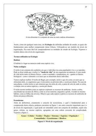 37
A teia alimentar é o conjunto de uma ou mais cadeias alimentares.
.
Assim, como em qualquer outra área, em Ecologia são definidas unidades de estudo, as quais são
fundamentais para melhor compreensão desta Ciência. Utilizando-se um modelo de níveis de
organização, fica mais fácil de compreendermos as unidades de estudo da Ecologia. Vejamos o
modelo abaixo dos níveis de organização:
Termos utilizados na Ecologia
Habitat
O habitat é o lugar na natureza onde uma espécie vive.
Nicho ecológico
O nicho é um conjunto de condições em que o indivíduo (ou uma população) vive e se reproduz.
Pode se dizer ainda que o nicho é o "modo de vida" de um organismo na natureza. E esse modo
de vida inclui tanto os fatores físicos - como a umidade, a temperatura, etc - quanto os fatores
biológicos - como o alimento e os seres que se alimentam desse indivíduo.
Vamos explicar melhor: O nicho do Bugio, por exemplo, inclui o que ele come, os seres que se
alimentam dele, os organismos que vivem juntos ou próximo dele, e assim por diante. No caso de
uma planta, o nicho inclui os sais minerais que ela retira do solo, a parte do solo de onde os retira,
a relação com as outras espécies, e assim por diante.
O nicho mostra também como as espécies exploram os recursos do ambiente. Assim a zebra,
encontrada nas savanas da África, come as ervas rasteiras, enquanto a girafa, vivendo no mesmo
hábitat, come as folhas das árvores. Observe que cada espécie explora os recursos do ambiente de
forma um pouco diferente.
Ecossistema
Antes de definirmos, exatamente o conceito de ecossistema, o qual é fundamental para a
compreensão desta ciência, podemos encontrar na figura 1, um outro conceito importante que é o
de níveis de organização, o qual pode ser entendido como um conjunto de entidades, sejam elas
genes, células, ou mesmo espécies, agrupadas em uma ordem crescente de complexidade.
Vejamos a figura 1:
Genes > Células > Tecidos > Órgãos > Sistemas > Espécies > População >
Comunidades > Ecossistemas > Biosfera
Figura 1- Níveis de organização
 