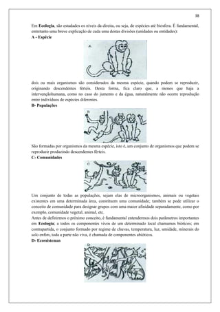 38
Em Ecologia, são estudados os níveis da direita, ou seja, de espécies até biosfera. É fundamental,
entretanto uma breve explicação de cada uma destas divisões (unidades ou entidades):
A - Espécie
dois ou mais organismos são considerados da mesma espécie, quando podem se reproduzir,
originando descendentes férteis. Desta forma, fica claro que, a menos que haja a
intervençãohumana, como no caso do jumento e da égua, naturalmente não ocorre reprodução
entre indivíduos de espécies diferentes.
B- Populações
São formadas por organismos da mesma espécie, isto é, um conjunto de organismos que podem se
reproduzir produzindo descendentes férteis.
C- Comunidades
Um conjunto de todas as populações, sejam elas de microorganismos, animais ou vegetais
existentes em uma determinada área, constituem uma comunidade; também se pode utilizar o
conceito de comunidade para designar grupos com uma maior afinidade separadamente, como por
exemplo, comunidade vegetal, animal, etc.
Antes de definirmos o próximo conceito, é fundamental entendermos dois parâmetros importantes
em Ecologia; a todos os componentes vivos de um determinado local chamamos bióticos; em
contrapartida, o conjunto formado por regime de chuvas, temperatura, luz, umidade, minerais do
solo enfim, toda a parte não viva, é chamada de componentes abióticos.
D- Ecossistemas
 