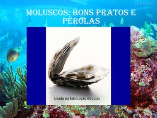 moluScoS: bonS pratoS e
pérolaS
Usado na fabricação de Joias
 
