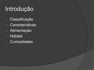 Introdução
• Classificação
• Características
• Alimentação
• Habitat
• Curiosidades
 
