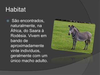 Habitat
 São encontrados,
naturalmente, na
África, do Saara à
Rodésia. Vivem em
bando de
aproximadamente
vinte indivíduos,
geralmente com um
único macho adulto.
 
