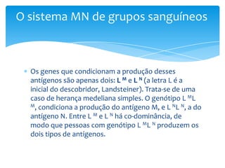 O sistema MN de grupos sanguíneos



  Os genes que condicionam a produção desses
  antígenos são apenas dois: L M e L N (a letra L é a
  inicial do descobridor, Landsteiner). Trata-se de uma
  caso de herança medeliana simples. O genótipo L ML
  M, condiciona a produção do antígeno M, e L NL N, a do

  antígeno N. Entre L M e L N há co-dominância, de
  modo que pessoas com genótipo L ML N produzem os
  dois tipos de antígenos.
 