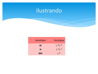 Ilustrando



Genótipos   Fenótipos

   M         L ML M
   N          L NL N
  MN           LM
 