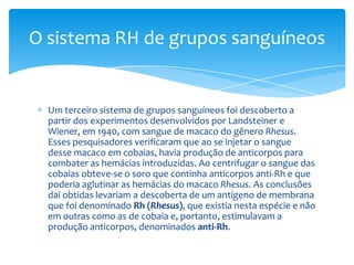 O sistema RH de grupos sanguíneos


  Um terceiro sistema de grupos sanguíneos foi descoberto a
  partir dos experimentos desenvolvidos por Landsteiner e
  Wiener, em 1940, com sangue de macaco do gênero Rhesus.
  Esses pesquisadores verificaram que ao se injetar o sangue
  desse macaco em cobaias, havia produção de anticorpos para
  combater as hemácias introduzidas. Ao centrifugar o sangue das
  cobaias obteve-se o soro que continha anticorpos anti-Rh e que
  poderia aglutinar as hemácias do macaco Rhesus. As conclusões
  daí obtidas levariam a descoberta de um antígeno de membrana
  que foi denominado Rh (Rhesus), que existia nesta espécie e não
  em outras como as de cobaia e, portanto, estimulavam a
  produção anticorpos, denominados anti-Rh.
 
