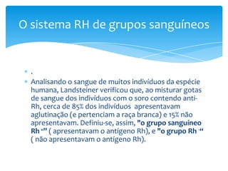 O sistema RH de grupos sanguíneos


  .
  Analisando o sangue de muitos indivíduos da espécie
  humana, Landsteiner verificou que, ao misturar gotas
  de sangue dos indivíduos com o soro contendo anti-
  Rh, cerca de 85% dos indivíduos apresentavam
  aglutinação (e pertenciam a raça branca) e 15% não
  apresentavam. Definiu-se, assim, "o grupo sanguíneo
  Rh +” ( apresentavam o antígeno Rh), e "o grupo Rh -“
  ( não apresentavam o antígeno Rh).
 