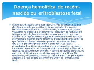 Doença hemolítica do recém-
nascido ou eritroblastose fetal

Durante a gestação ocorre passagem, através da placenta, apenas
de plasma da mãe para o filho e vice-versa devido à chamada
barreira hemato-placentária. Pode ocorrer, entretanto, acidentes
vasculares na placenta, o que permite a passagem de hemácias do
feto para a circulação materna. Nos casos em que o feto possui
sangue fator rh positivo os antígenos existentes em suas hemácias
estimularão o sistema imune materno a produzir anticorpos anti-Rh
que ficarão no plasma materno e podem, por serem da classe
IgG, passar pela BHP provocando lise nas hemácias fetais.
A produção de anticorpos obedece a uma cascata de eventos (ver
imunidade humoral) e por isto a produção de anticorpos é lenta e a
quantidade pequena num primeiro. A partir da segunda gestação, ou
após a sensibilização por transfusão sanguínea, se o filho é Rh +
novamente, o organismo materno já conterá anticorpos para aquele
antígeno e o feto poderá desenvolver a DHPN ou eritroblastose
fetal.
 