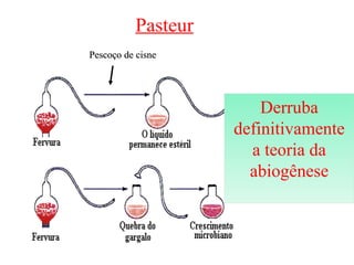 DEFENSORES DA   Pasteur
BIOGÊNESE cisne
     Pescoço de


           Louis Pasteur
                                                             Derruba
     Pasteur Foi quem derrubou definitivamente a idéia da abiogênese, com a
 utilização de uma vidraria chamada pescoço de cisne. Pasteur colocou um caldo
                                                         definitivamente
  nutritivo em um balão de vidro, de pescoço comprido. Em seguida, aqueceu e
   esticou o pescoço do balão, curvando sua extremidade, de modo que ficasse
                                                           a teoria da
   voltada para cima. Ferveu o caldo existente no balão, o suficiente para matar
      todos os possíveis microrganismos que poderiam existir nele. Cessado o
                                                           abiogênese
 aquecimento, vapores da água proveniente do caldo condensaram-se no pescoço
 do balão e se depositaram, sob forma líquida, na sua curvatura inferior. Como os
   frascos ficavam abertos, não se podia falar da impossibilidade da entrada do
  "princípio ativo" do ar. Com a curvatura do gargalo, os microrganismos do ar
 ficavam retidos na superfície interna úmida e não alcançavam o caldo nutritivo.
   Quando Pasteur quebrou o pescoço do balão, permitindo o contato do caldo
   existente dentro dele com o ar, constatou que o caldo contaminou-se com os
                        microrganismos provenientes do ar.
 