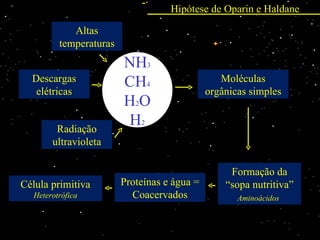 Hipótese de Oparin e Haldane

             Altas
          temperaturas
                         NH3
  Descargas              CH4                     Moléculas
   elétricas                                  orgânicas simples
                         H2O
         Radiação
                         H2
        ultravioleta

                                                   Formação da
Célula primitiva         Proteínas e água =       “sopa nutritiva”
   Heterotrófica           Coacervados               Aminoácidos
 