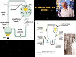 STANLEY MILLER
    (1953)
 