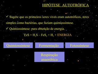 HIPÓTESE AUTOTRÓFICA

 Sugere que os primeiros seres vivos eram autotróficos, seres
simples como bactérias, que faziam quimiossíntese.
 Quimiossíntese: para obtenção de energia.
             FeS + H2S – FeS2 + H2 + ENERGIA


Quimiossíntese          Fermentação            Fotossíntese

                          Respiração
                          anaeróbica
 