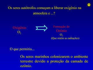 Os seres autótrofos começam a liberar oxigênio na
                 atmosfera e ...?


   Oxigênio                   Formação do
     O2                         Ozônio
                                   O3
                            (Que retém as radiações)


 O que permitiu...

        Os seres marinhos colonizarem o ambiente
        terrestre devido a proteção da camada de
        ozônio.
 