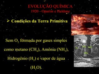 EVOLUÇÃO QUÍMICA
             1920 - Oparim e Haldane

  Condições da Terra Primitiva



Sem O2 formada por gases simples

como metano (CH4), Amônia (NH3),

 Hidrogênio (H2) e vapor de água

             (H2O).
 