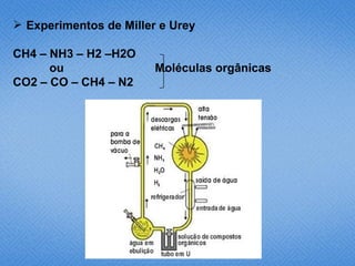  Experimentos de Miller e Urey

CH4 – NH3 – H2 –H2O
      ou                Moléculas orgânicas
CO2 – CO – CH4 – N2
 