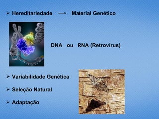  Hereditariedade          Material Genético




                 DNA ou RNA (Retrovírus)




 Variabilidade Genética

 Seleção Natural

 Adaptação
 