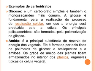  Exemplos de carboidratos
 Glicose: é um carboidrato simples e também o
monossacarídeo mais comum. A glicose é
fundamental para a realização do processo
de respiração celular, em que a energia será
produzida para a célula. Os principais
polissacarídeos são formados pela polimerização
da glicose.
 Amido: é a principal substância de reserva de
energia dos vegetais. Ele é formado por dois tipos
de polímeros de glicose: a amilopectina e a
amilose. Os grãos de amido das plantas ficam
armazenados no interior dos plastos, organelas
típicas da célula vegetal.
 