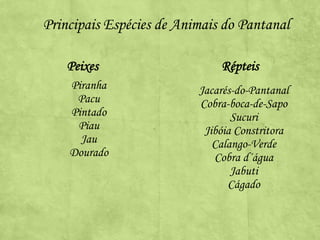 Principais Espécies de Animais do Pantanal
Peixes
Piranha
Pacu
Pintado
Piau
Jau
Dourado

Répteis
Jacarés-do-Pantanal
Cobra-boca-de-Sapo
Sucuri
Jibóia Constritora
Calango-Verde
Cobra d´água
Jabuti
Cágado

 