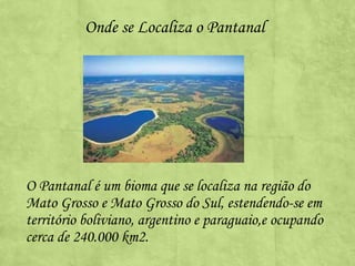 Onde se Localiza o Pantanal

O Pantanal é um bioma que se localiza na região do
Mato Grosso e Mato Grosso do Sul, estendendo-se em
território boliviano, argentino e paraguaio,e ocupando
cerca de 240.000 km2.

 