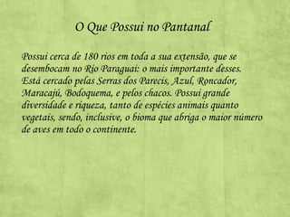 O Que Possui no Pantanal
Possui cerca de 180 rios em toda a sua extensão, que se
desembocam no Rio Paraguai: o mais importante desses.
Está cercado pelas Serras dos Parecis, Azul, Roncador,
Maracajú, Bodoquema, e pelos chacos. Possui grande
diversidade e riqueza, tanto de espécies animais quanto
vegetais, sendo, inclusive, o bioma que abriga o maior número
de aves em todo o continente.

 