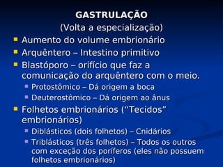 GASTRULAÇÃO
GASTRULAÇÃO
(Volta a especialização)
(Volta a especialização)
 Aumento do volume embrionário
Aumento do volume embrionário
 Arquêntero – Intestino primitivo
Arquêntero – Intestino primitivo
 Blastóporo – orifício que faz a
Blastóporo – orifício que faz a
comunicação do arquêntero com o meio.
comunicação do arquêntero com o meio.
 Protostômico – Dá origem a boca
Protostômico – Dá origem a boca
 Deuterostômico – Dá origem ao ânus
Deuterostômico – Dá origem ao ânus
 Folhetos embrionários (“Tecidos”
Folhetos embrionários (“Tecidos”
embrionários)
embrionários)
 Diblásticos (dois folhetos) – Cnidários
Diblásticos (dois folhetos) – Cnidários
 Triblásticos (três folhetos) – Todos os outros
Triblásticos (três folhetos) – Todos os outros
com exceção dos poríferos (eles não possuem
com exceção dos poríferos (eles não possuem
folhetos embrionários)
folhetos embrionários)
 