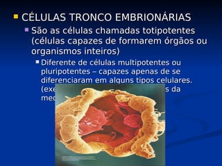  CÉLULAS TRONCO EMBRIONÁRIAS
CÉLULAS TRONCO EMBRIONÁRIAS
 São as células chamadas totipotentes
São as células chamadas totipotentes
(células capazes de formarem órgãos ou
(células capazes de formarem órgãos ou
organismos inteiros)
organismos inteiros)
 Diferente de células multipotentes ou
Diferente de células multipotentes ou
pluripotentes – capazes apenas de se
pluripotentes – capazes apenas de se
diferenciaram em alguns tipos celulares.
diferenciaram em alguns tipos celulares.
(exemplo – alguns tipos de células da
(exemplo – alguns tipos de células da
medula óssea vermelha).
medula óssea vermelha).
 