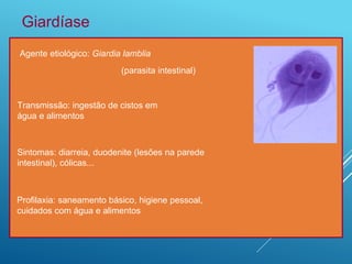 Agente etiológico: Giardia lamblia
(parasita intestinal)
Giardíase
Transmissão: ingestão de cistos em
água e alimentos
Sintomas: diarreia, duodenite (lesões na parede
intestinal), cólicas...
Profilaxia: saneamento básico, higiene pessoal,
cuidados com água e alimentos
 