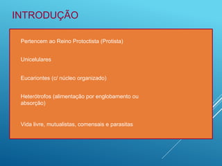 Pertencem ao Reino Protoctista (Protista)
Unicelulares
Eucariontes (c/ núcleo organizado)
Heterótrofos (alimentação por englobamento ou
absorção)
Vida livre, mutualistas, comensais e parasitas
INTRODUÇÃO
 