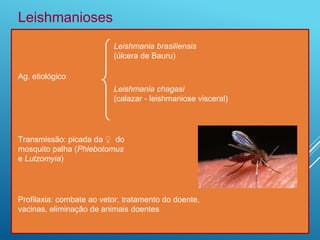 Ag. etiológico
Leishmania chagasi
(calazar - leishmaniose visceral)
Leishmania brasiliensis
(úlcera de Bauru)
Leishmanioses
Profilaxia: combate ao vetor, tratamento do doente,
vacinas, eliminação de animais doentes
Transmissão: picada da ♀ do
mosquito palha (Phlebotomus
e Lutzomyia)
 