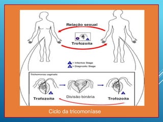 Ciclo da tricomoníase
 