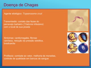 Agente etiológico: Trypanosoma cruzi
Doença de Chagas
Sintomas: cardiomegalia, fibrose
cardíaca, redução da pressão sistólica,
bradicardia
Profilaxia: combate ao vetor, melhoria de moradias,
controle de qualidade em bancos de sangue
Transmissão: contato das fezes do
percevejo barbeiro (Triatoma infestans)
com o local de sua picada
 