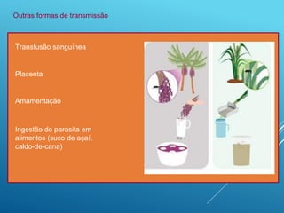 Transfusão sanguínea
Outras formas de transmissão
Placenta
Amamentação
Ingestão do parasita em
alimentos (suco de açaí,
caldo-de-cana)
 