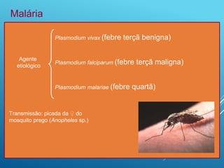 Agente
etiológico
Malária
Plasmodium vivax (febre terçã benigna)
Plasmodium falciparum (febre terçã maligna)
Plasmodium malariae (febre quartã)
Transmissão: picada da ♀ do
mosquito prego (Anopheles sp.)
 