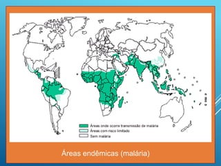 Áreas endêmicas (malária)
 