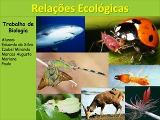 Trabalho de
Biologia
Alunos:
Eduardo da Silva
Izabel Miranda
Marcos Augusto
Mariana
Paulo
Relações Ecológicas
1
 