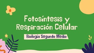 Fotosíntesis y
Respiración Celular
Biología Segundo Medio
 