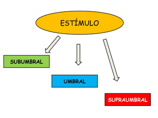 ESTÍMULO
SUBUMBRAL
UMBRAL
SUPRAUMBRAL
 