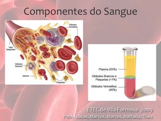 Componentes do Sangue