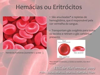 Hemácias ou Eritrócitos  São anucleadas* e repletas de hemoglobina, que é responsável pela cor vermelha do sangue.