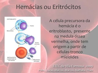   Transportam gás oxigênio para todos os tecidos e retiram o gás carbônico presente.*Nos demais vertebrados, o núcleo se mantém, mas não é funcionalHemáciashumanas (aumento 4.000×).