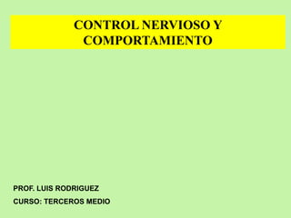 CONTROL NERVIOSO Y
               COMPORTAMIENTO




PROF. LUIS RODRIGUEZ
CURSO: TERCEROS MEDIO
 