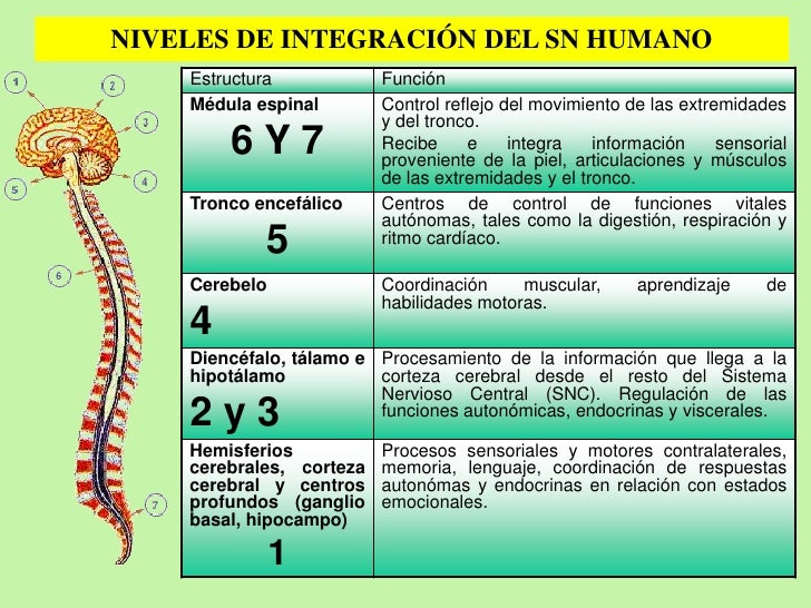 Biologia tercero