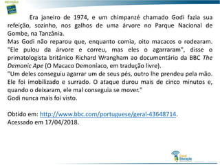 Era janeiro de 1974, e um chimpanzé chamado Godi fazia sua
refeição, sozinho, nos galhos de uma árvore no Parque Nacional de
Gombe, na Tanzânia.
Mas Godi não reparou que, enquanto comia, oito macacos o rodearam.
"Ele pulou da árvore e correu, mas eles o agarraram", disse o
primatologista britânico Richard Wrangham ao documentário da BBC The
Demonic Ape (O Macaco Demoníaco, em tradução livre).
"Um deles conseguiu agarrar um de seus pés, outro lhe prendeu pela mão.
Ele foi imobilizado e surrado. O ataque durou mais de cinco minutos e,
quando o deixaram, ele mal conseguia se mover."
Godi nunca mais foi visto.
Obtido em: http://www.bbc.com/portuguese/geral-43648714.
Acessado em 17/04/2018.
 