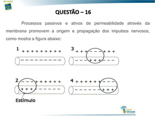 QUESTÃO – 16
Processos passivos e ativos de permeabilidade através da
membrana promovem a origem e propagação dos impulsos nervosos,
como mostra a figura abaixo:
 