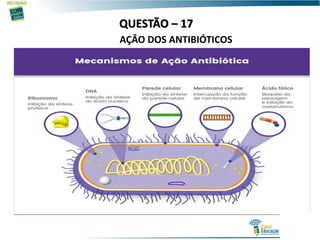 QUESTÃO – 17
AÇÂO DOS ANTIBIÓTICOS
 