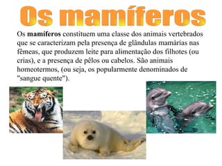 Os mamíferos Os  mamíferos  constituem uma classe dos animais vertebrados que se caracterizam pela presença de glândulas mamárias nas fêmeas, que produzem leite para alimentação dos filhotes (ou crias), e a presença de pêlos ou cabelos. São animais homeotermos, (ou seja, os popularmente denominados de "sangue quente").  