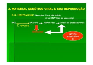 3. MATERIAL GENÉTICO VIRAL E SUA REPRODUÇÃO

 3.3. Retrovírus: Exemplos: Vírus HIV (AIDS),
                                  vírus HTLV (tipo de Leucemia)

 RNA                DNA viral    RNAm viral     síntese de proteínas virais
       T. reversa

                      RNAviral
                                                          NOVOS
                                                        RETROVÍRU
                                                            S
 
