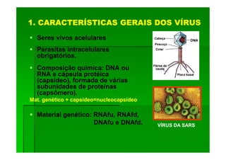 1. CARACTERÍSTICAS GERAIS DOS VÍRUS
  Seres vivos acelulares
  Parasitas intracelulares
  obrigatórios.
  Composição química: DNA ou
  RNA e cápsula protéica
  (capsídeo), formada de várias
  subunidades de proteínas
  (capsômero).
Mat. genético + capsídeo=nucleocapsídeo

  Material genético: RNAfu, RNAfd,
                     DNAfu e DNAfd.       VÍRUS DA SARS
 