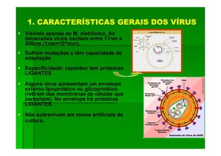 1. CARACTERÍSTICAS GERAIS DOS VÍRUS
Visíveis apenas ao M. eletrônico. As
dimensões virais oscilam entre 17nm e
300nm (1nm=10-6mm).
Sofrem mutações e têm capacidade de
adaptação
Especificidade: capsídeo tem proteínas
LIGANTES

Alguns vírus apresentam um envelope
externo lipoprotéico ou glicoprotéico
(retiram das membranas de células que
parasitam). No envelope há proteínas
LIGANTES.

Não sobrevivem em meios artificiais de
cultura.
 