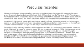 Pesquisas recentes
Cientistas divulgaram nesta quarta-feira que uma vacina experimental contra a aids conseguiu livrar um
grupo de animais do vírus da imunodeficiência símia (SIV, similar à "versão" humana, o HIV). Além disso, o
resultado se mostrou persistente: alguns dos animais já estão há três anos sem sinais do SIV e isso, afirmam
os cientistas, pode persistir por toda a vida deles. O estudo foi divulgado na revista especializada Nature.
Os cientistas usaram uma versão mais agressiva do SIV para infectar um grupo de macacos-rhesus. Após a
doença se manifestar, os animais foram vacinados e metade deles não teve melhoras, mas os demais foram
"curados funcionalmente", ou seja, não têm traços detectáveis do vírus no corpo.
Os cientistas explicam que a diferença dessa substância é que ela usa um vírus (citamegalovirus, conhecido
como CMV) para "entregar" a vacina ao corpo. "Ela usa um agente persistente (CMV) como vetor da vacina.
O CMV persiste indefinitivamente no corpo em níveis muito pequenos (...) o que provê estimulação
antigênica suficiente para o sistema imunológico manter altas frequências de células T diferenciadas. Para
usar uma analogia militar, este nível de estimulação imunológica é o suficiente para manter armados
soldados anti-SIV patrulhando todos os tecidos nos quais células infectadas pelo SIV possam estar", diz
ao Terra Louis Picker, da Universidade da Oregon Health & Science University, nos Estados Unidos.
 