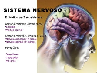 SISTEMA NERVOSO
É dividido em 2 subsistemas:

Sistema Nervoso Central (SNC)
•Encéfalo
•Medula espinal

Sistema Nervoso Periférico (SNP)
•Nervos cranianos (12 pares)
•Nervos espinais (31 pares)

FUNÇÕES:

Sensitivas
Integradas
Motoras
 