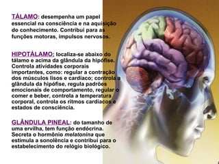 TÁLAMO: desempenha um papel
essencial na consciência e na aquisição
do conhecimento. Contribui para as
funções motoras, impulsos nervosos.


HIPOTÁLAMO: localiza-se abaixo do
tálamo e acima da glândula da hipófise.
Controla atividades corporais
importantes, como: regular a contração
dos músculos lisos e cardíaco; controla a
glândula da hipófise, regula padrões
emocionais de comportamento, regular o
comer e beber, controla a temperatura
corporal, controla os ritmos cardíacos e
estados de consciência.

GLÂNDULA PINEAL: do tamanho de
uma ervilha, tem função endócrina.
Secreta o hormônio melatonina que
estimula a sonolência e contribui para o
estabelecimento do relógio biológico.
 